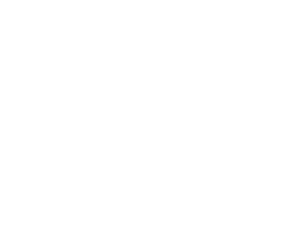 Lionsback Resort badge