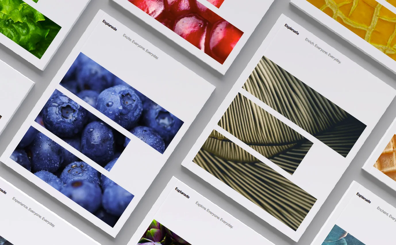 A set of Esplanade posters: Excite, Enrich, Experience, Explore and Enchant, each over a close-up texture