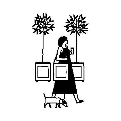 Line illustration: Walking the dog with a coffee between two olive trees